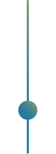 turtlegym