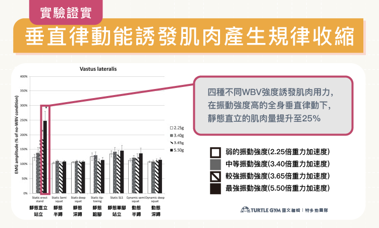 全身垂直律動對下肢肌肉活化的影響研究