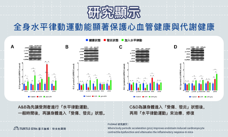水平律動對蛋白質與發炎壞分子影響圖